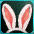 rabbit_ears.jpg